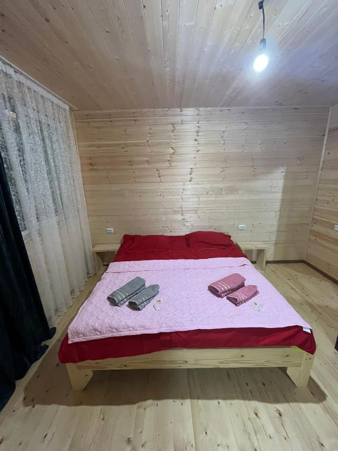 Guest House Caucasioni Adishi Esterno foto